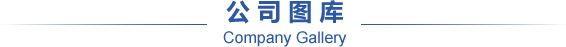 公司圖庫(kù)